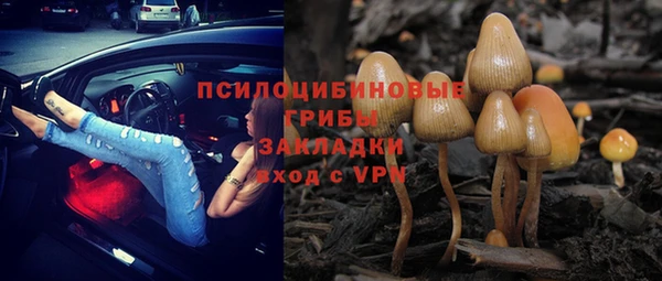spice Алексин