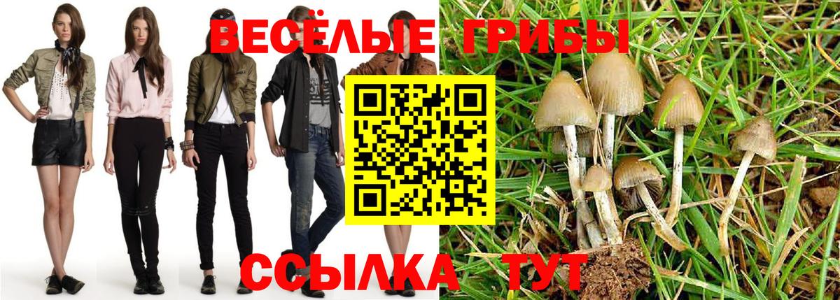 наркотики  Вход с VPN  Псилоцибиновые грибы Psilocybine cubensis  Лениногорск  Галлюциногенные грибы мухоморы 