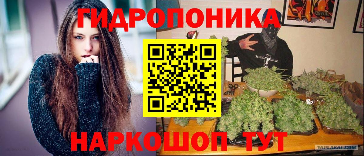 Бошки марихуана марихуана Лениногорск
